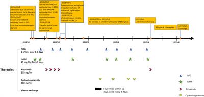 Anti-NMDAR encephalitis in a child with long impaired consciousness and persistent antibodies: a case report and mini review